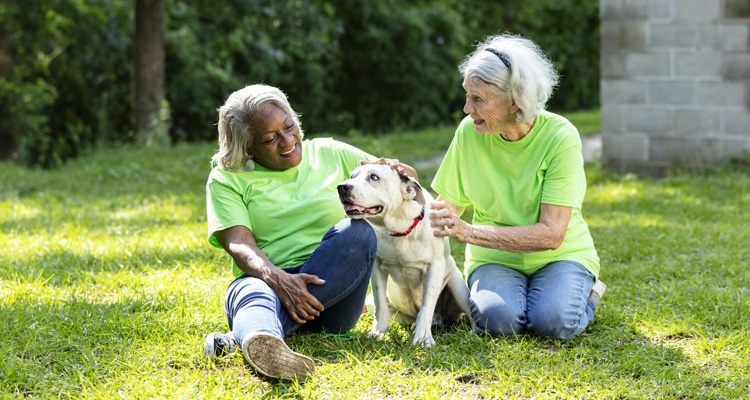 Two senior women sit on the grass and pet a dog