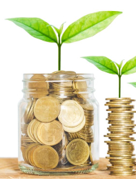 Doc-Fundraising-1 Jar of money with plant sprouting from within