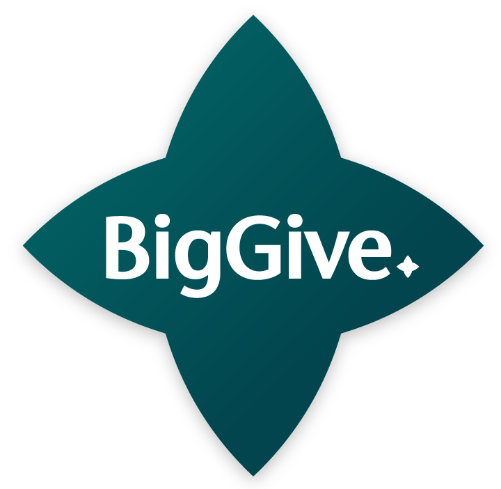 BigGive logo