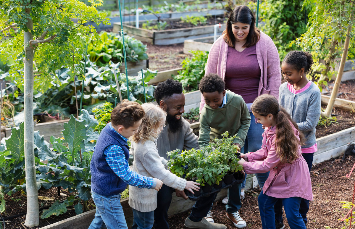 sustainability-2 Group of kids crowd around a man holding plants in a garden